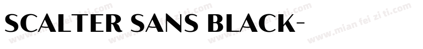 Scalter Sans Black字体转换